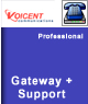 Gateway In&Outbound with 1-Year Priority Developer Email Support